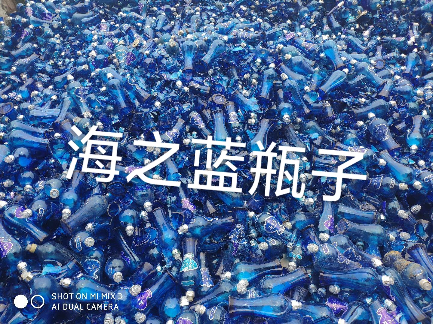浦口区海之蓝瓶回收